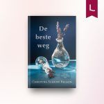 De beste weg