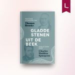 Gladde stenen uit de beek