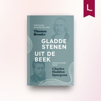 Gladde stenen uit de beek
