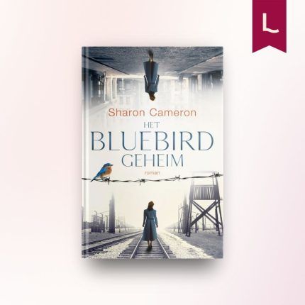 Het Bluebird-geheim