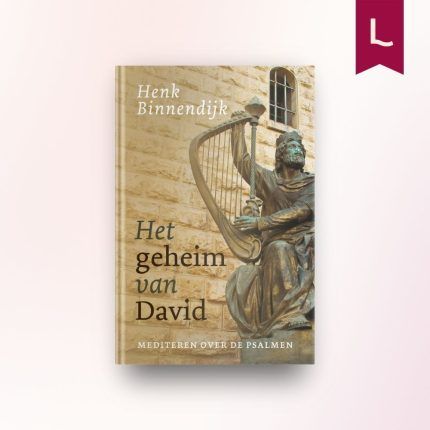 Het geheim van David