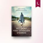 Het licht van gevallen sterren