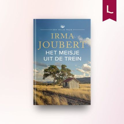 Het meisje uit de trein