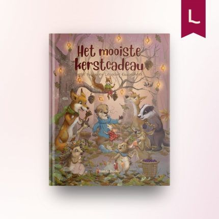Het mooiste kerstcadeau