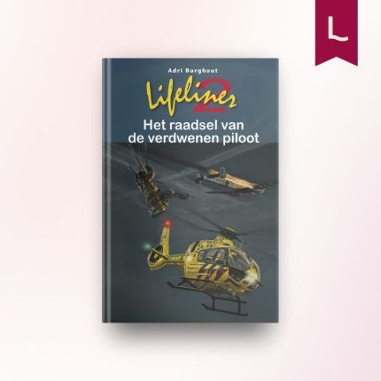 Het raadsel van de verdwenen piloot