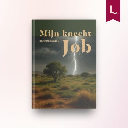 Mijn knecht Job