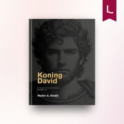 Koning David