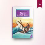 Storm op het meer