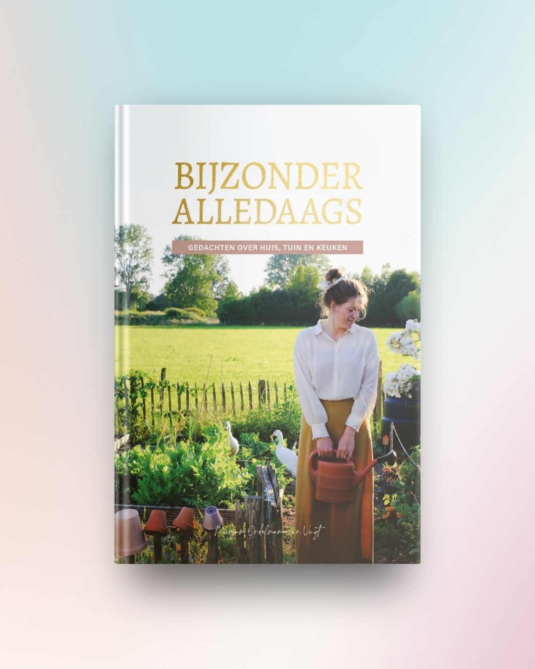 Bijzonder alledaags