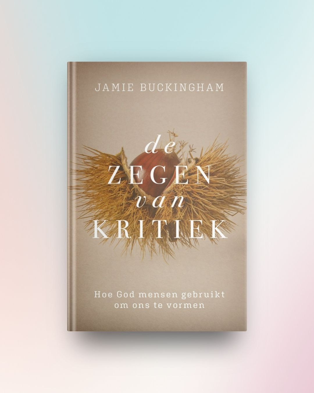 De zegen van kritiek