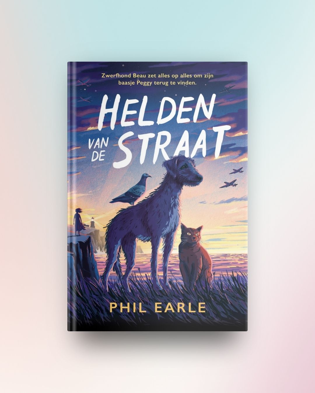 Helden van de straat