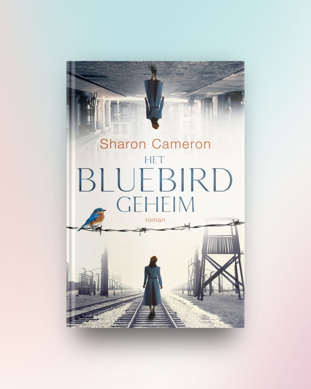 Het Bluebird-geheim
