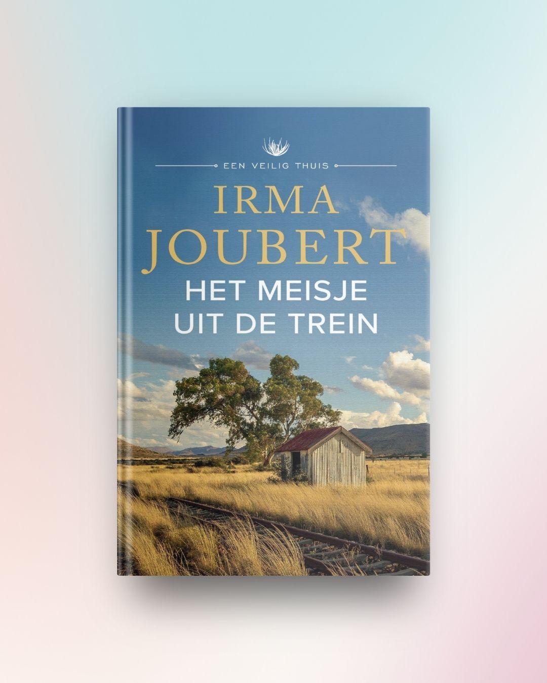 Het meisje uit de trein